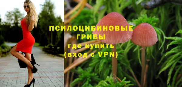 гашиш Белокуриха