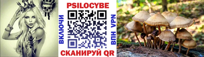 купить наркоту mega онион нарко площадка Telegram Волхов Псилоцибиновые грибы ЛСД