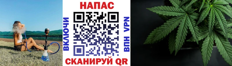 Конопля ГИДРОПОН Волхов